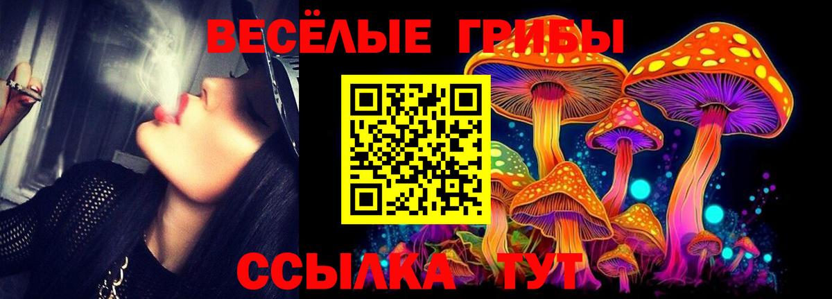Псилоцибиновые грибы GOLDEN TEACHER  Вход с VPN  Галлюциногенные грибы GOLDEN TEACHER  Мичуринск 